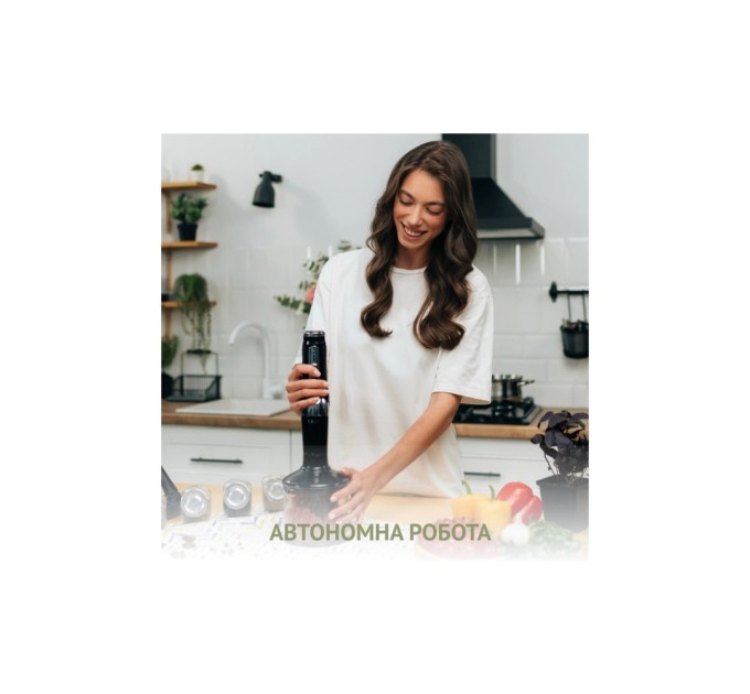 Блендер QUIN RHB-301