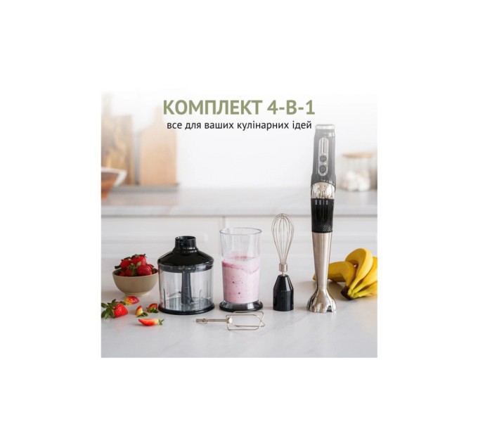 Блендер QUIN RHB-301