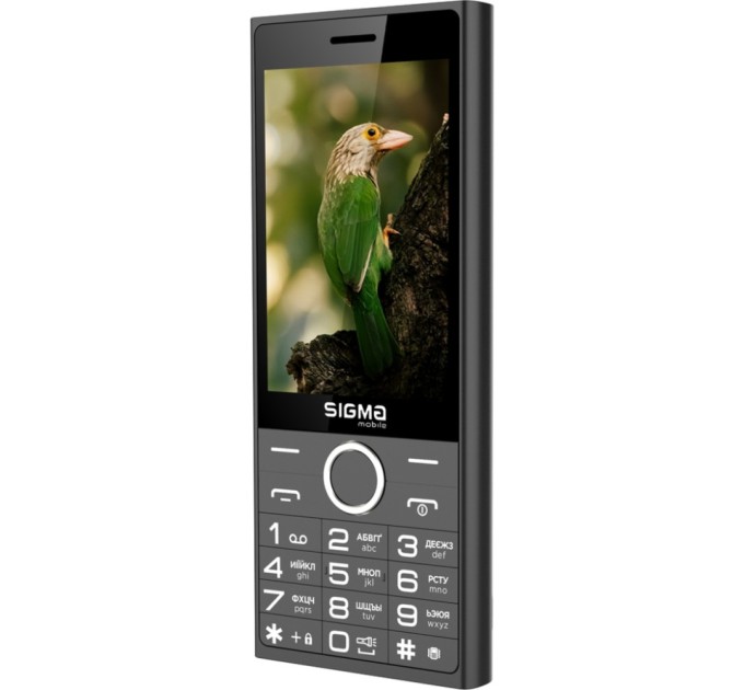 Мобільний телефон Sigma X-style 353 TREND Black (4827798626214)