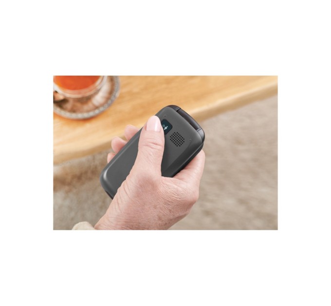 Мобільний телефон Panasonic KX-TU446 Black (KX-TU446EXB)