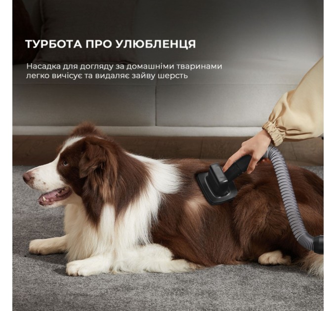 Пилосос Dreame Z30 (VZV17A)