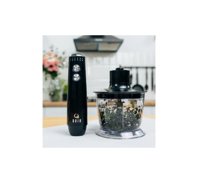 Блендер QUIN HB-103