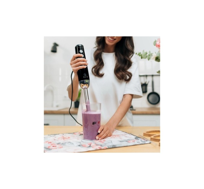 Блендер QUIN HB-103