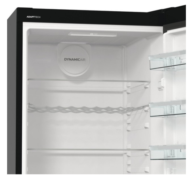 Холодильник Gorenje R619EABK6