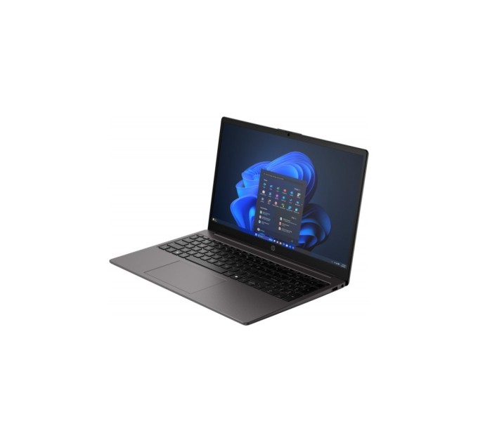 Ноутбук HP 255R G10 (CW0R9AT)