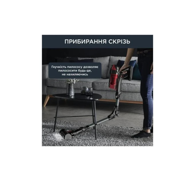 Пилосос Rowenta RH98A9WO